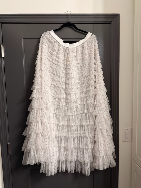 Free People Dresses & Skirts - Free People Tulle Slip Skirt